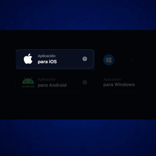 Autoriza la descarga del programa 1Win